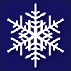 Snowflake Assortment™