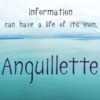 Anguillette™