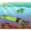 AquaMints GD