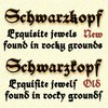 Schwarzkopf