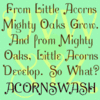 AcornSwash™