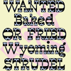 Wyoming Strudel™