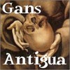 Gans Antigua