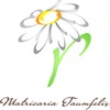 Taumfel