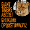 Giant Tigers