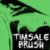 Tim Sale Brush