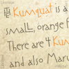 ITC Kumquat™