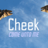 Cheek PT