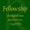 Fellowship