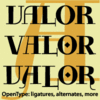 Valor™