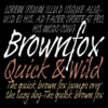 Brown Fox