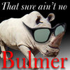 Bulmer™