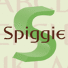 P22 Spiggie Pro