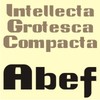 Intellecta Grotesca Compacta