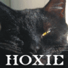 Hoxie JNL