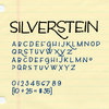 Silverstein™