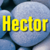 Hector