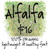 Alfalfa