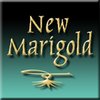 New Marigold™