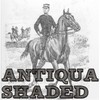 Antiqua Shaded