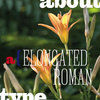 Elongated Roman