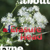 Erasurehead