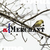 Merchant
