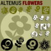 Altemus Flowers