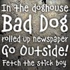 Bad Dog