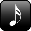 P22 Music Pro