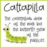 Cattapilla™