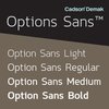 Option Sans™