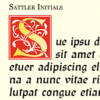 Sattler AS™