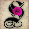 Spanish Rose™
