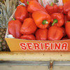 Serifina