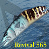 Revival 565
