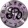 Celtic Astrologer Symbols
