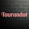 Tourandot Pro
