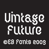 EB Vintage Future™