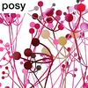 Posy™