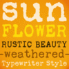 Sunflower
