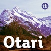 Otari™