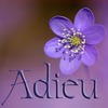 Adieu