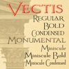 Vectis™