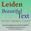 Leiden DT