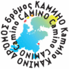 Camino™