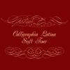 Calligraphia Latina Soft 4