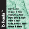TS Florida™