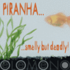 Piranha