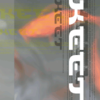 Keet